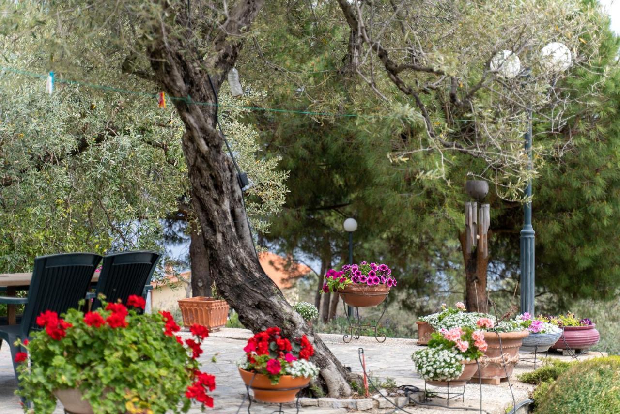 Villa Elia Kavala - Mediterranean Holiday Villa PalaiónTsiflíkion 外观 照片