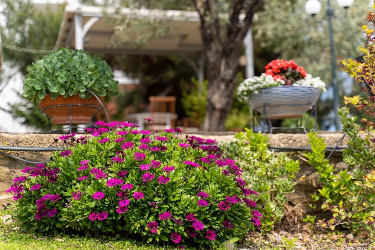 Villa Elia Kavala - Mediterranean Holiday Villa PalaiónTsiflíkion 外观 照片