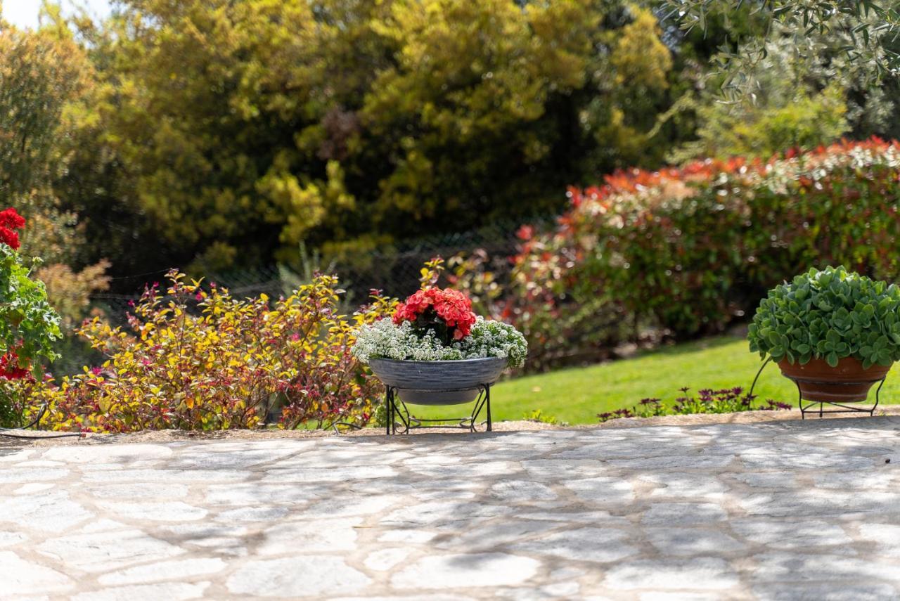 Villa Elia Kavala - Mediterranean Holiday Villa PalaiónTsiflíkion 外观 照片