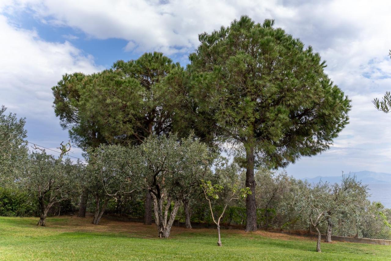 Villa Elia Kavala - Mediterranean Holiday Villa PalaiónTsiflíkion 外观 照片