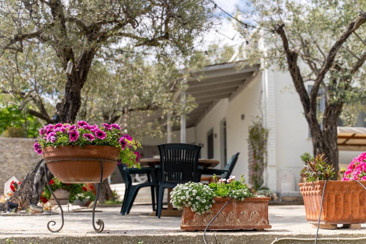 Villa Elia Kavala - Mediterranean Holiday Villa PalaiónTsiflíkion 外观 照片
