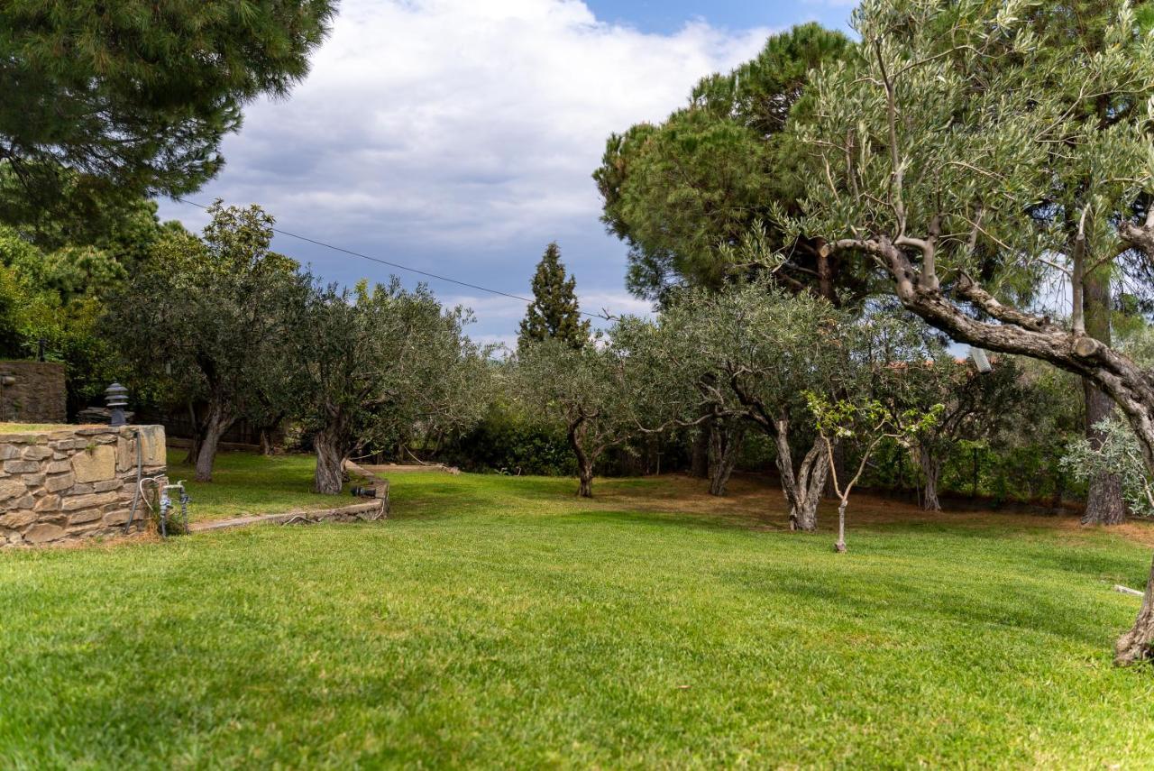 Villa Elia Kavala - Mediterranean Holiday Villa PalaiónTsiflíkion 外观 照片